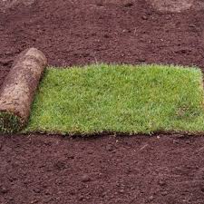 Maybe you would like to learn more about one of these? Maldonado Sod Services Llc Sarasota Fl Us 34237 Houzz