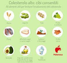 Prima di ora non ho mai avuto il colesterolo così alto. Dieta Per Colesterolo Alto Cosa Mangiare E Cosa Evitare Esempio Di Menu