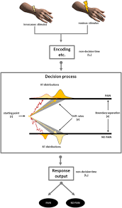 Here we demonstrate generalization using a novel paradigm in motion discrimination where learning has been previously shown to be specific. Perceptual Decision Parameters And Their Relation To Self Reported Pain A Drift Diffusion Account The Journal Of Pain