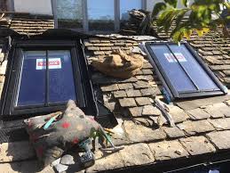 Contact company 1266 e main st evaluations of stamford roofing company: Pro Roof Stamford Proroofstamford Twitter