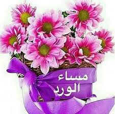 صباح الخير و مساء الخير good evening good morning rose