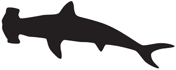 Hammerhead Shark Silhouette Png Clip Art Image Shark Silhouette Silhouette Png Shark