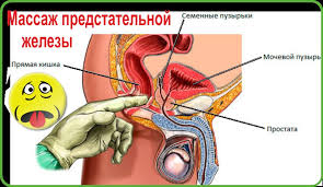 Therefore, it is essential to treat and prevent this problem to avoid suffering from the symptoms this disease could bring. Self Prostate Massage Video What Gives Prostate Massage Preparation For The Procedure Indirect Prostate Massage