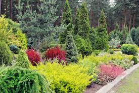 Of the many types of cacti, this particular one works well as part of a rock garden (or any geometrically inclined landscape design, really) thanks to its spherical form — but don't get too attached. Minnesota Shrubs For All Seasons Rock Solid Landscapers