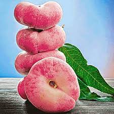 Obst Obstpflanzen Online Kaufen Bestellen Bei Baldur Garten