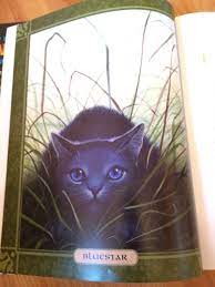 Leader Of Thunder Clan Before Firestar Mate Of Oakheart A River Clan Warrior Her Kits Mistystar Stonefur And Mosskit A P Warrior Cats Warrior Cat Warrior