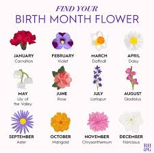 Birth Flowers For Each Month Better Homes Gardens On Instagram We Ll Take A Bouquet Of Fresh Blooms Over A Birthstone Any Day Birth Month Flowers July Birth Flower Birth Flower Tattoos