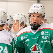 Alle infos zum verein rögle bk ⬢ kader, termine, spielplan, historie ⬢ wettbewerbe: Chl Rogle Bk Holt Sich Den Titel Hockey News Info