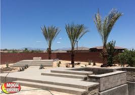 They are an awesome company truly interested in saving our pollinators and helping us to do so. South Las Vegas