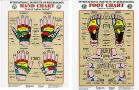 specific reflexology foot chart ingham method 31 printable