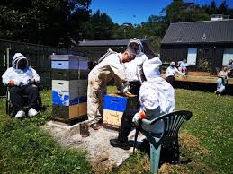 Our Bee Club has been...