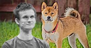 Everything related to shiba inu coin and a place to talk about the moon. Vitalik Buterin S Ethereum Wallet Holds 8 Billion In Shiba Inu Coin Shib
