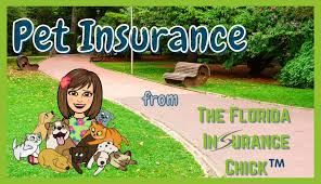 Check spelling or type a new query. Pet Insurance Southshore Insurance Professionals