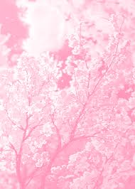 1001 + amazingly cute backgrounds to grace your screen. Cute Pink Wallpaper Gif