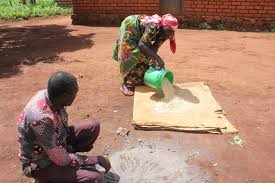 Image result for Anisophyllea boehmii