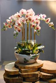 Check spelling or type a new query. Free Photo Chinese Flower Arrangement Anther Petals Varied Free Download Jooinn