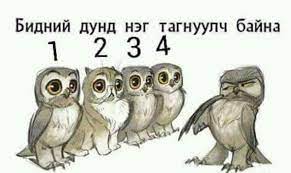 #2 asuult hariult #2 асуулт хариулт. Sonirholtoj Asuultuud Posts Facebook