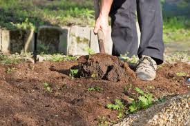 Im september ist im garten einiges zu tun: Der Garten Im September Tipps Tricks Vom Gartner Diybook At