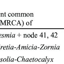 Image result for Zornia setosa