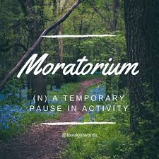 A Moratorium Is A Temporary Suspension Or Pause Of A Job Or Activity In The World Of Law It Is A Legally Authorised Period Of D Law Quotes Words Perfect Word