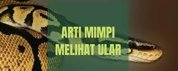 We did not find results for: Arti Mimpi Ular Masuk Rumah Menurut Primbon Jawa Islam Hindu