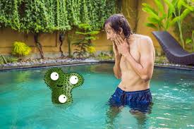 Black algae is more likely to. How To Remove Pool Algae Forever Compass Pools Melbourne