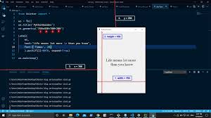 A python tkinter label is a simple piece of text or information. Python Tkinter Window Size Python Guides
