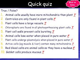 Under a microscope, a student observes a specimen that has no cell wall and chloroplast. Cell Types Ppt Video Online Download