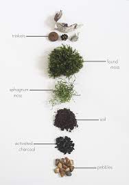 Diy Found Moss Terrarium Idle Hands Awake Moss Terrarium Terrarium Diy Terrarium