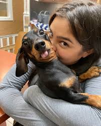 The Barkers Pet Center