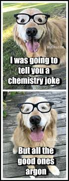 I Was Going To Tell You A Chemistry Joke But All The Good Ones Argon Goldenretriever Dogs Golden Retriever Golden Retriever Good Jokes To Tell