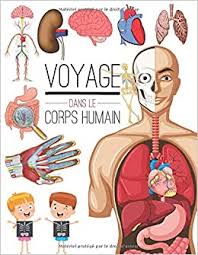 Les parties du corps humain : Amazon Fr Voyage Dans Le Corps Humain Encyclopedie Corps Humain Anatomie Organes Et Physiologie Pour Enfant Atlas Du Corps Humain Education Pixa Livres