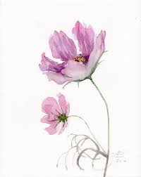 Cette Peinture De Fleur Cosmos Est Une Aquarelle Originale Par A Verbrugge J Ai Le Plus Grand Pl Flower Painting Original Flower Drawing Pink Flower Painting