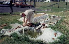 Aquaponics Wo Electricity