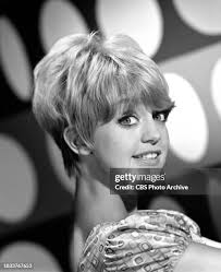 95 Sandy Kramer Photos & High Res Pictures