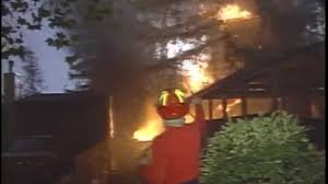 Image result for Radiant Fire 1991 Shadow