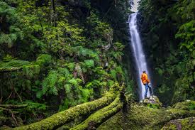 Der wasserfall von seixal auf madeira umgeben von grünen klippen fotografiert im abendlicht. Madeira Wanderung Zu Den Schonsten Wasserfallen Madeiras Rabo Do Burro Und Poco Das Pulgas Nicht Noch Ein Reiseblog