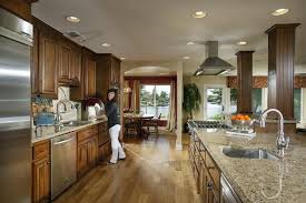 These range hoods quietly and effectively eradicate smoke, grease, heat, cooking odors, and airborne contaminants. Kitchen Island