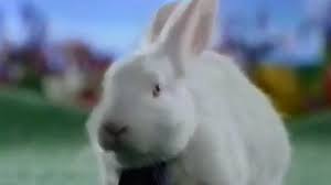 Federal government websites always use a.gov or.mil domain. Cadbury Confectionery Cadbury Creme Eggs 1997 Tv Commercial Hd Youtube