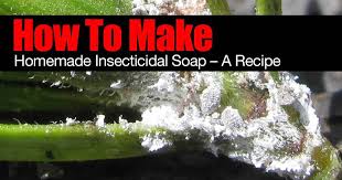 Make your own bug repellent soap recipe, and use the same essential oils for a spray and in a lotion. Homemade Insecticidal Soap How To Make Diy Recipe