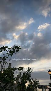 Pin On صور و سنابات