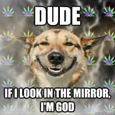 Dude If I Look In The Mirror I M God Stoner Dog Quickmeme