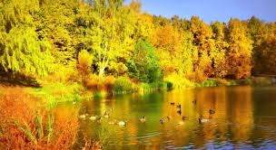 Sep 14, 2021 · 60+ fall trivia questions for pumpkin spice lovers. What Is A Period Of Unseasonably Trivia Questions Quizzclub