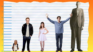 You've probably noticed ashton kutcher has been working out a lot and now he is featured in a movie called killers where he plays a james bond type of character kicking lots of ass. How Tall Is Seth Rogen Height Comparison Youtube
