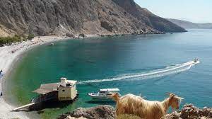 The beach is called like this because when someone digs a hole in the sand, sweet water appears from the ground. Tourist Info Fur Die Insel Kreta Griechenland Strand Glyka Nera