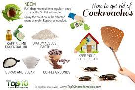 How To Get Rid Of Cockroaches Top 10 Home Remedies Cockroaches Home Remedies For Cockroaches Best Pest Control