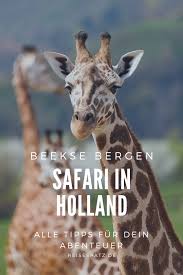 Hotels near beekse bergen safari park. Beekse Bergen Safari Resort Afrika Feeling In Den Niederlanden Reisen Mit Kindern Familienreisen Reiseblogger