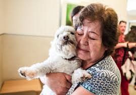 Our prayers were answered': Inland residents find lost pets after July 4th 