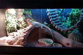 Cage Design Bearded Dragon Page 2 Reptile Forums Bearded Dragon Terrarium Ideas Bearded Dragon Terrarium Bearded Dragon Cage