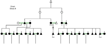 Apakah anak angkat termasuk ke kategori broken home? Gaps In The Family Networks Of Older People In Three Indonesian Communities Abstract Europe Pmc
